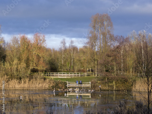 country park photo