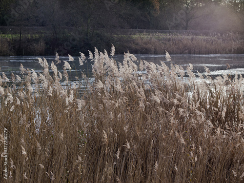 country park photo