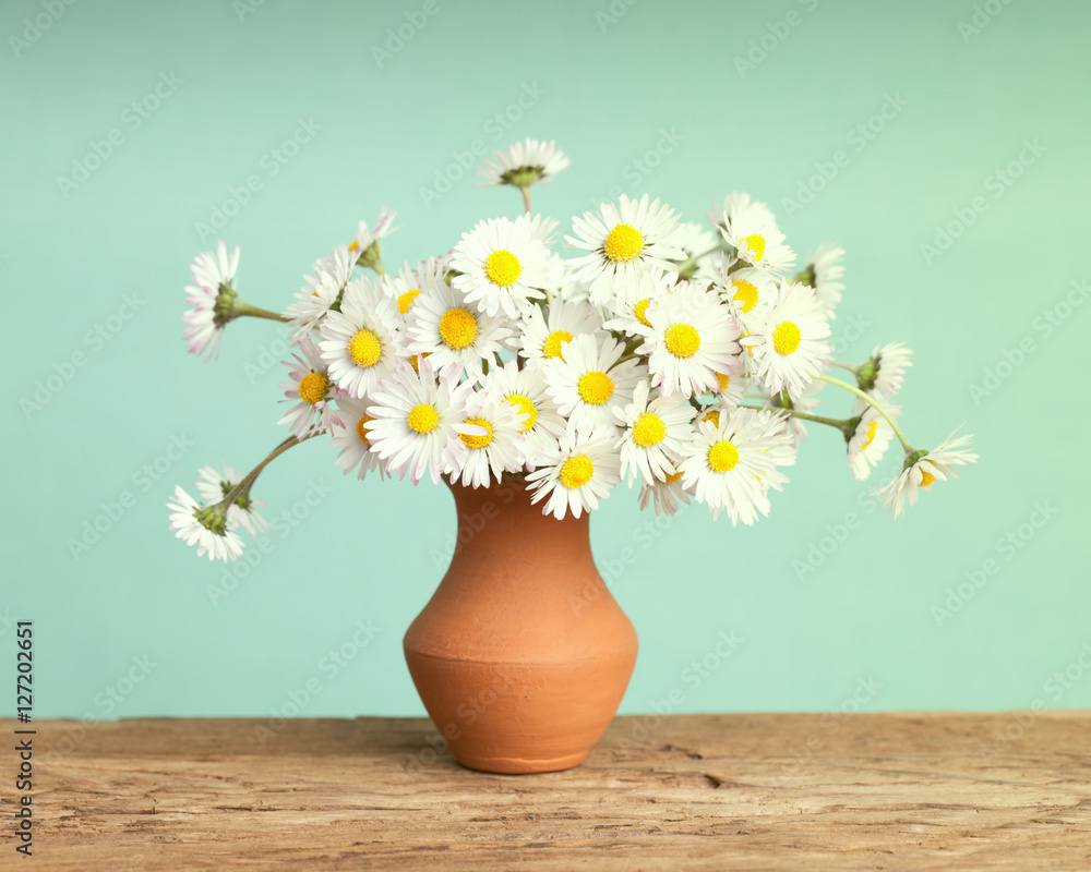 Retro daisy's flowers in a brown ceramic pot on a solid wood surface Retro daisy's flowers in a brown ceramic pot on a solid wood surface