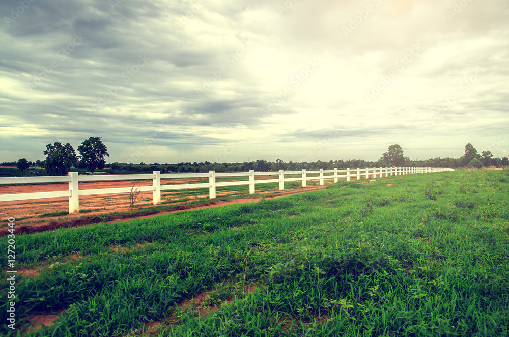 white fence in farm field and overcast sky