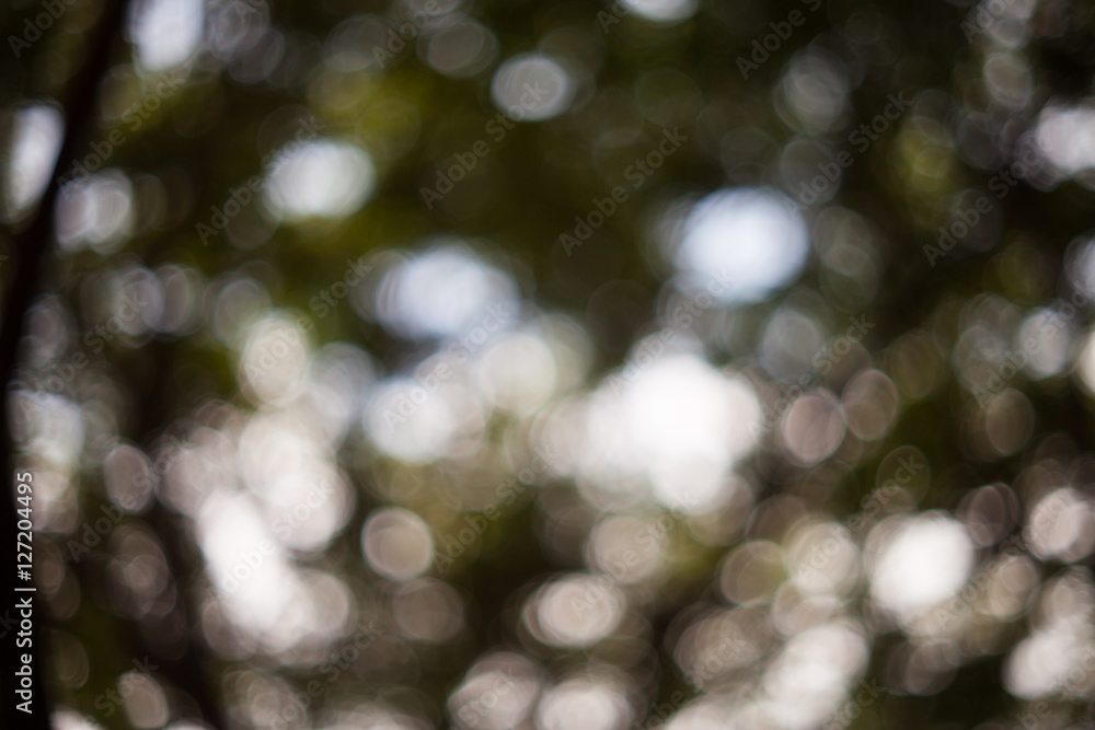 Abstract natural blur bokeh, Blur natural green bokeh background Abstract natural blur bokeh, Blur natural green bokeh background