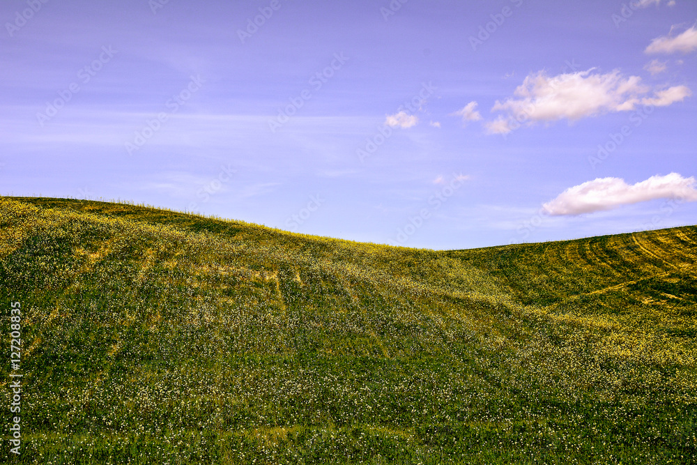 Panoramic view of a spring day in the Italian rural landscape ne