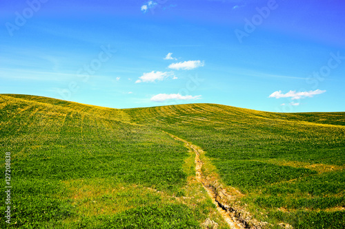 Panoramic view of a spring day in the Italian rural landscape ne