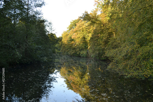 Teich