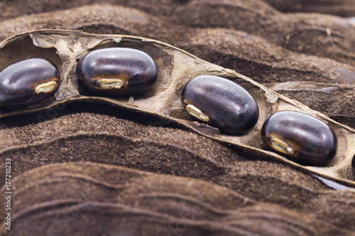 nettles brown pods (Mucuna pruriens) on white background