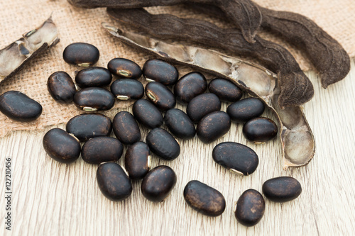 nettles brown pods (Mucuna pruriens) on white background