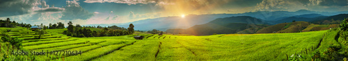Views of rice terraces, Chiang Mai, Thailand. © beerphotographer