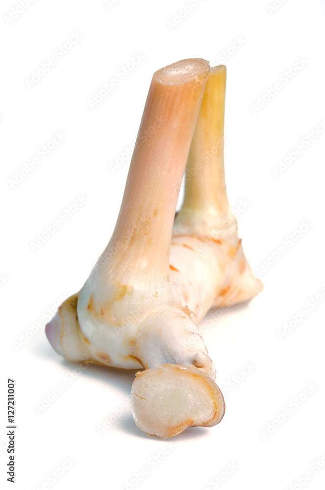 Fototapeta premium Galangal isolated on the white background