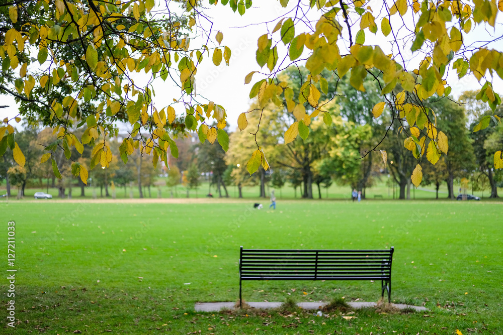 Fototapeta premium Bench in the park.