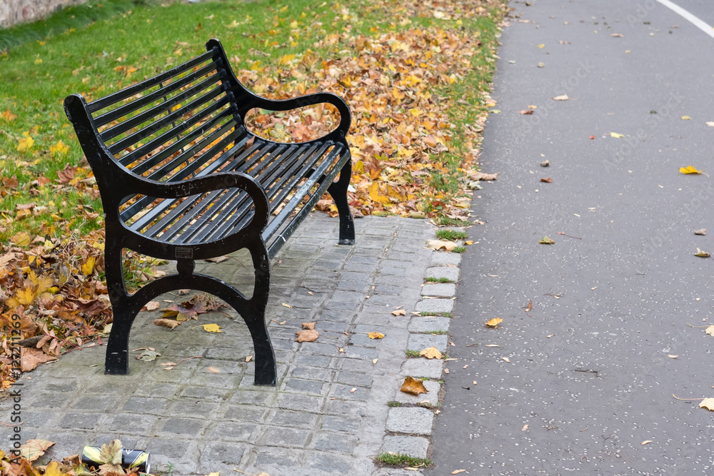 Bench in the park.