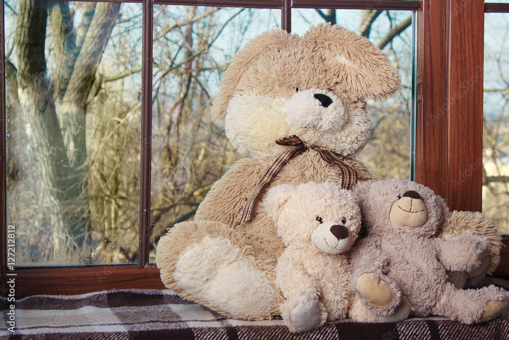 Obraz premium embracing loving teddy bears toys sitting on window-sill