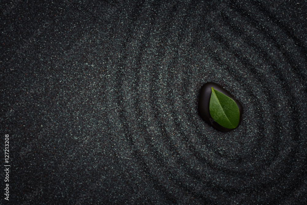Zen garden with wave lines in the black grain sand with a green - obrazy, fototapety, plakaty 