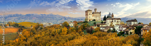 Castello di Grinzane and village - one of the most famous vine regions of Italy photo