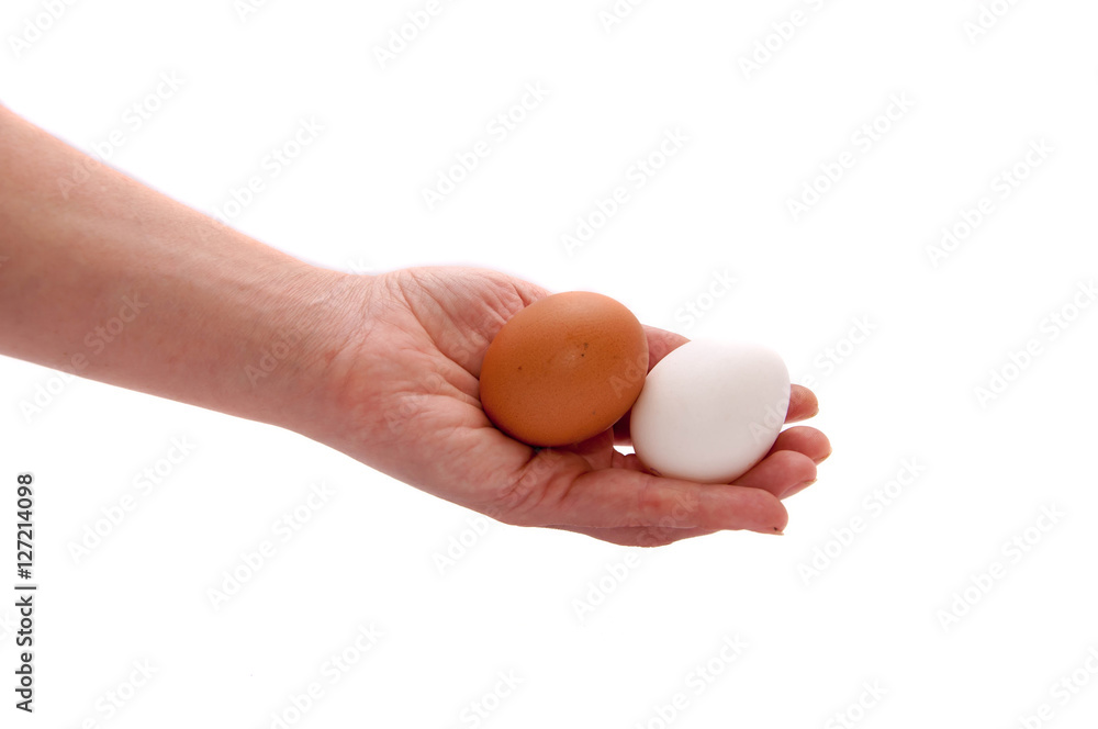 Hand with chicken eggs on a white background. Hand with chicken eggs on a white background.