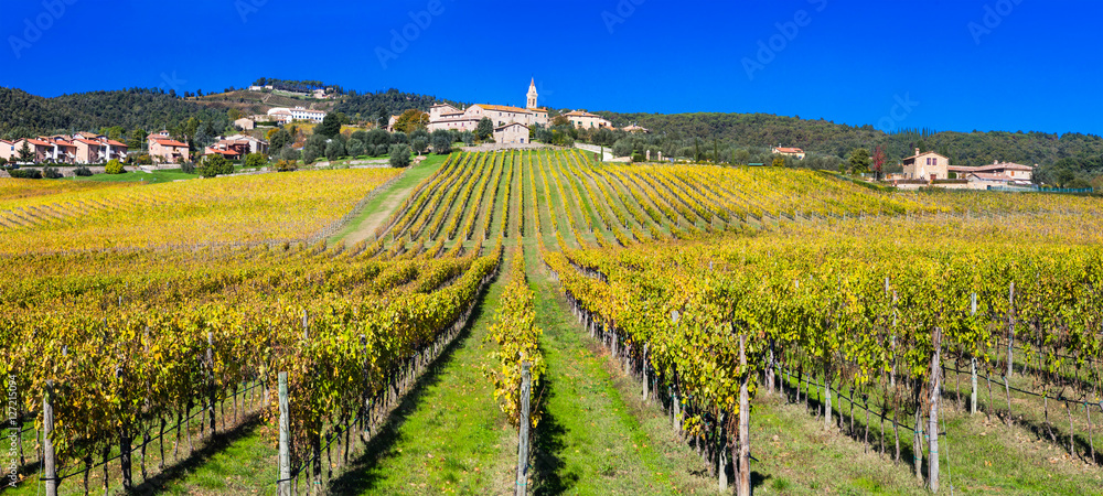 Traditional scenery of Tuscany .beautiful Chianti - vine region,Italy