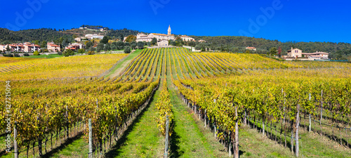 Traditional scenery of Tuscany .beautiful Chianti - vine region,Italy photo