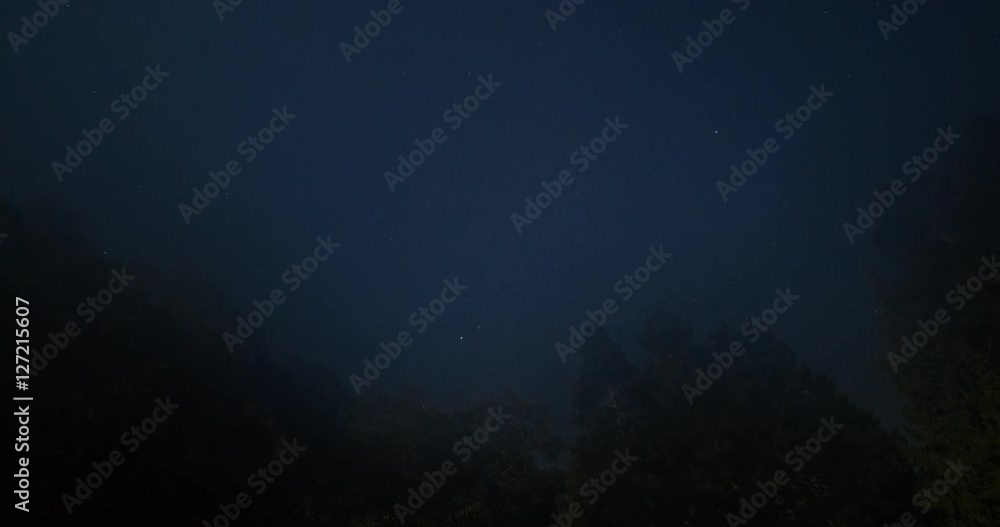 Tongue Point, Washington, USA - view straight up along treetops to the clear starry sky at night until fog - Timelapse with pan left to right Tongue Point, Washington, USA - view straight up along treetops to the clear starry sky at night until fog - Timelapse with pan left to right