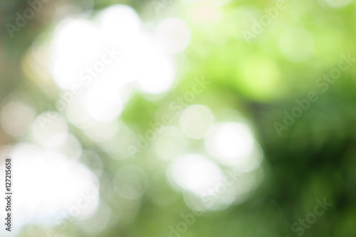 Blur green leaves with bokeh, abstract background