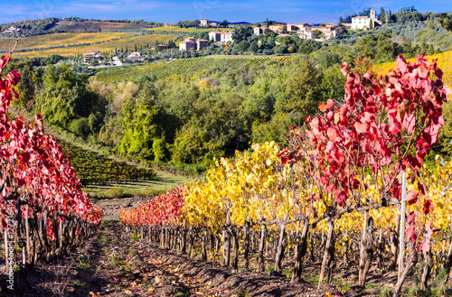 Landscapes of Tuscany - Chianti region, vineyards in autumn colors photo