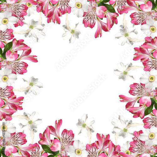 Fototapeta Naklejka Na Ścianę i Meble -  Beautiful pattern of white and pink flowers  