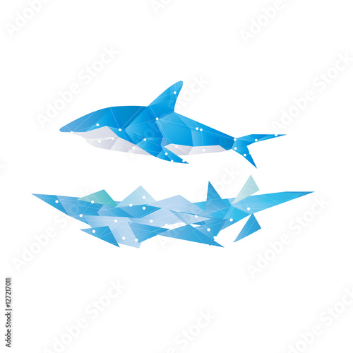 vectors abstract polygon shark isolated design blue