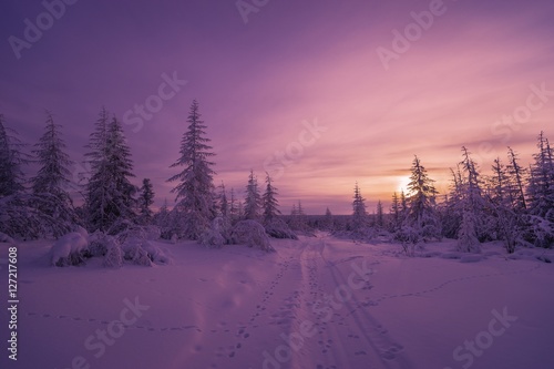 Winter landscape with forest, sun and snow.