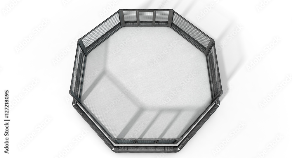 MMA Cage MMA Cage