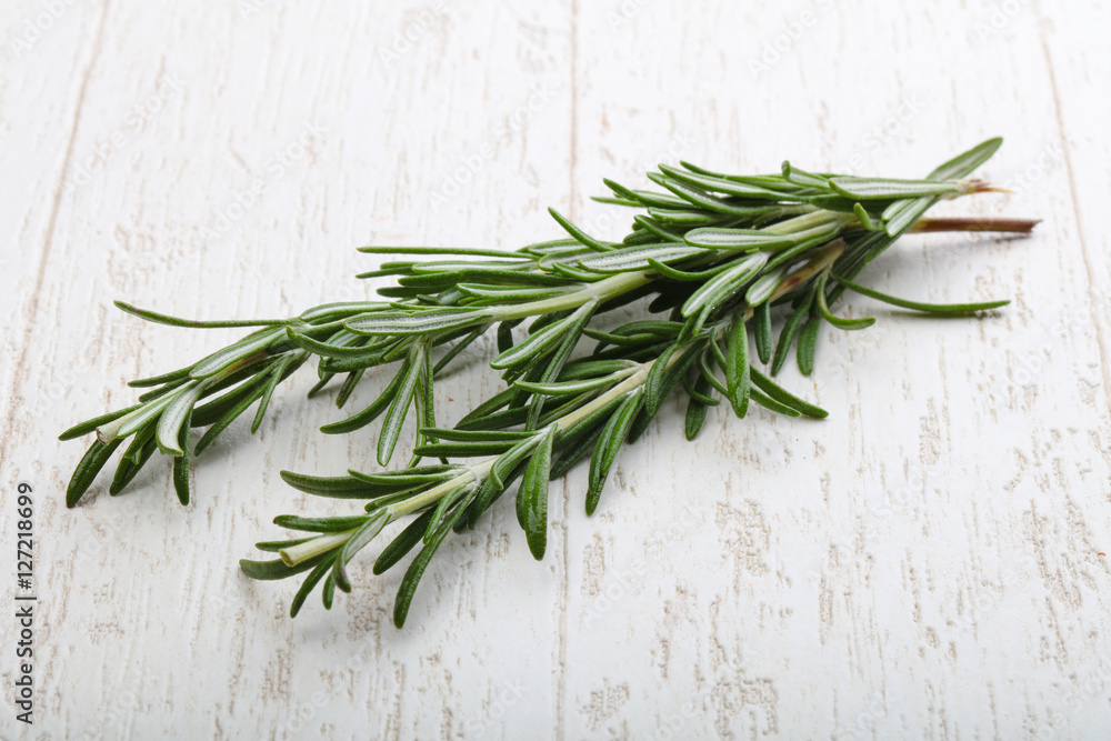 Rosemary plant