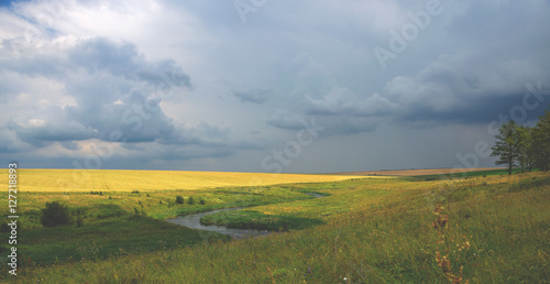 Cloudy summer landscape with river and wheat field