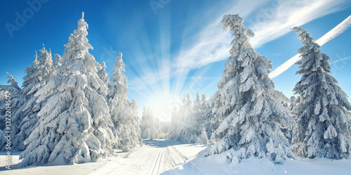 Sonne im zauberhaften Winterwald, Winterlandschaft © Jenny Sturm