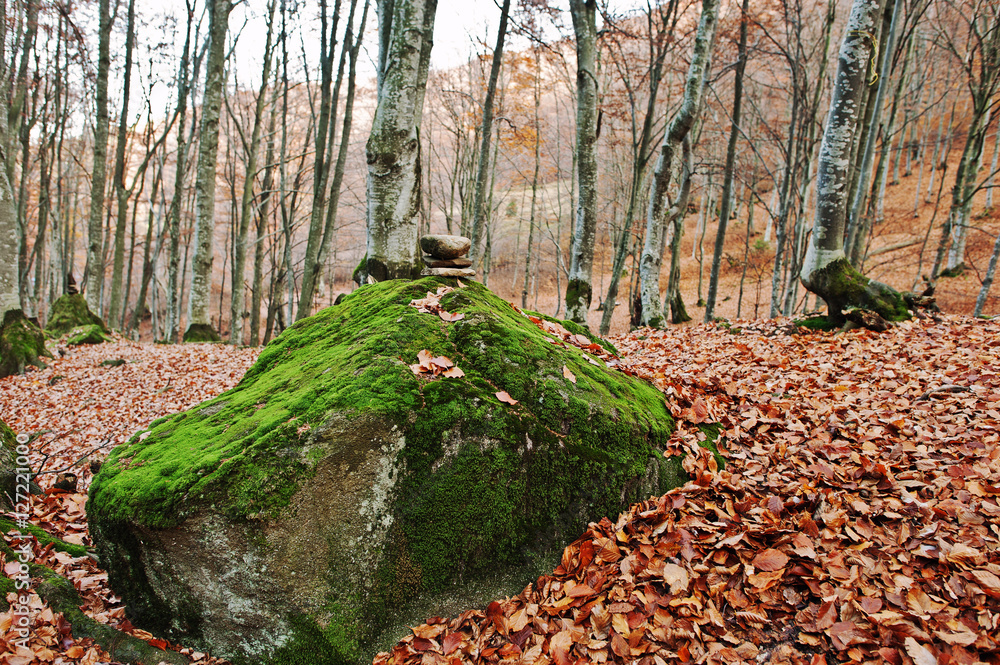 Zen stones on big stone with moss on autumn forest. Zen stones on big stone with moss on autumn forest.