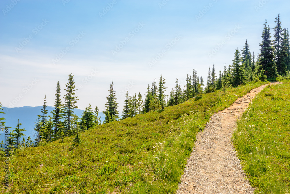 Fototapeta premium Beautiful Mountain Trail. Blackwall Peak Trail at Manning Park in British Columbia. Canada.