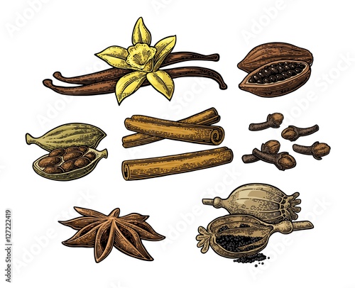 Set of spices. Anise, cinnamon, cocoa, vanilla, poppy