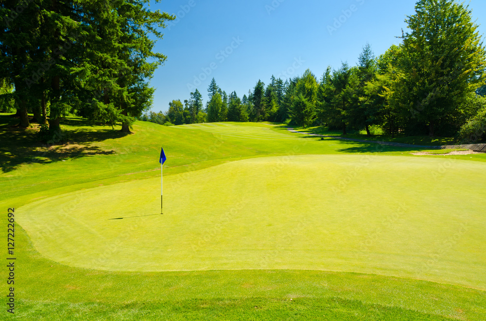 Obraz premium Golf course with gorgeous green and flag.