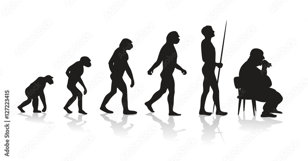 Fototapeta premium evolution1611a