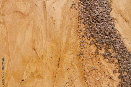 Obraz na plátně Wavy sand with silt on the beach after the low tide