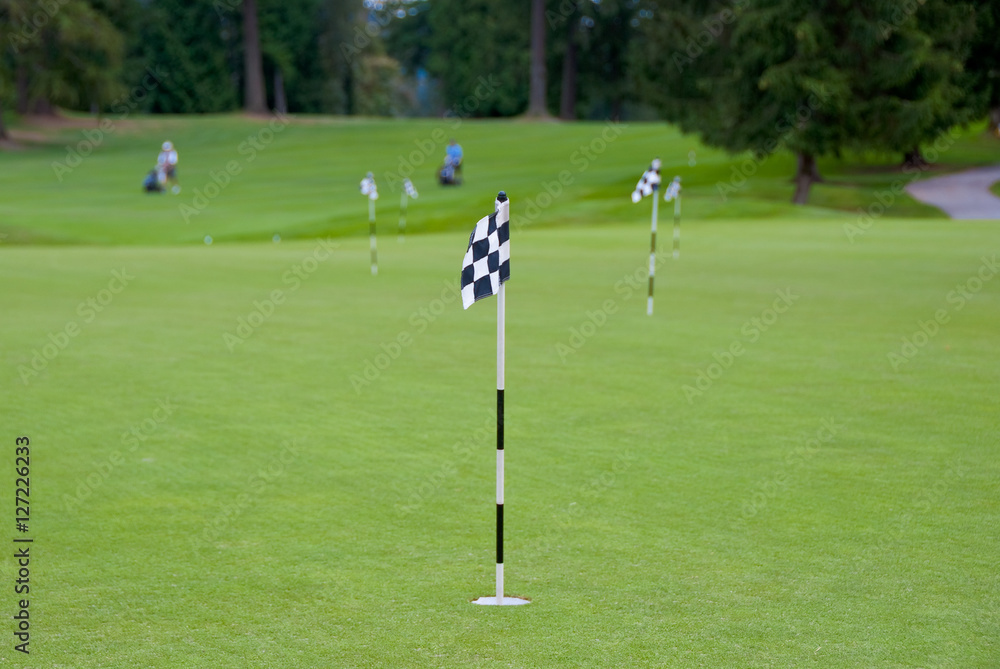 Fototapeta premium Putting area over a blurred green. Shallow depth of field. Focus on the first flag.