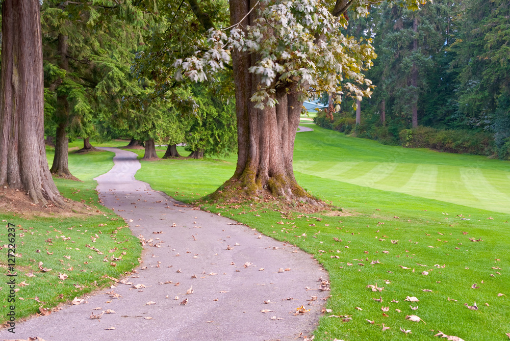 Obraz premium Golf place with nice green and curved path.