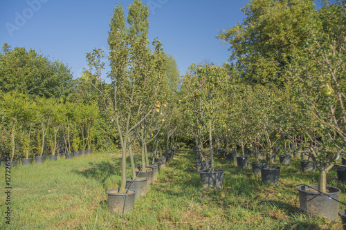 sonbahar manzaraları