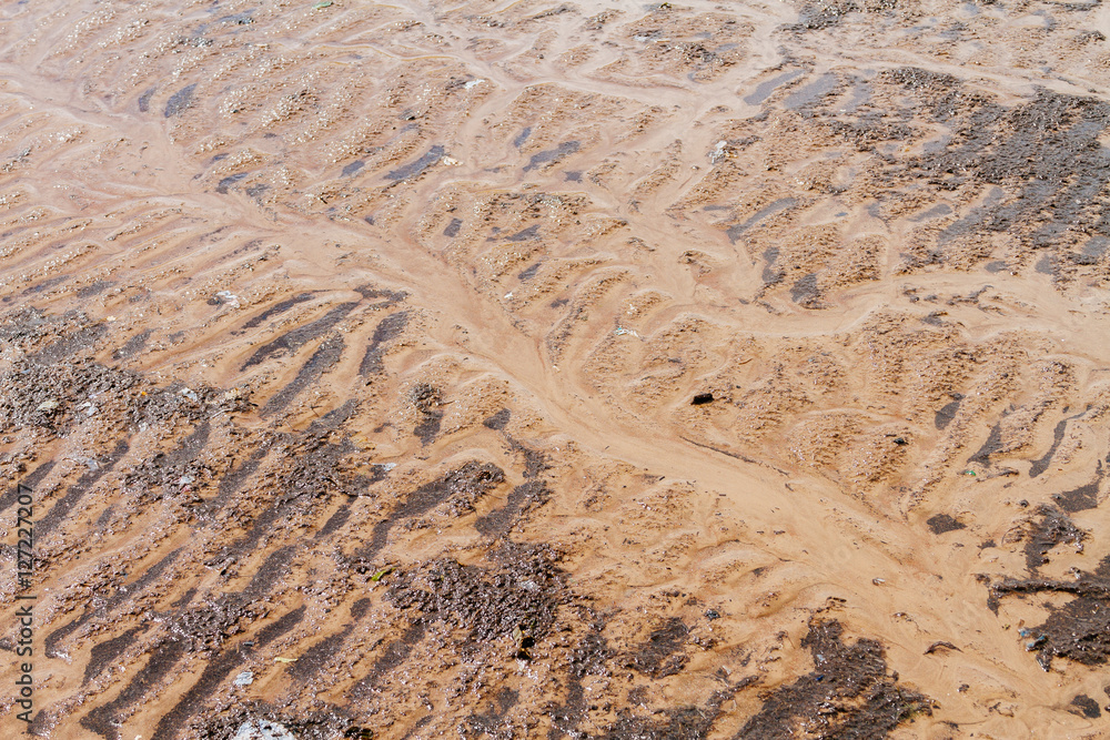Fototapeta premium Wavy sand with silt on the beach after the low tide