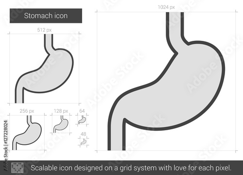 Stomach line icon.