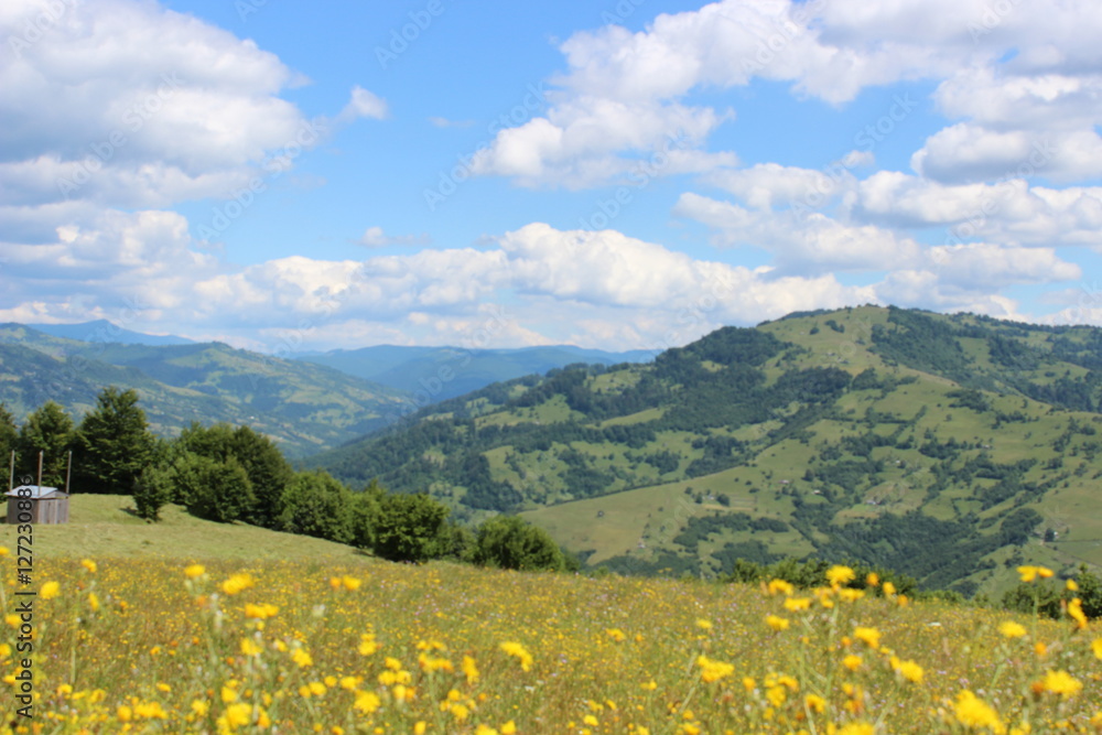 the nature of the Carpathians