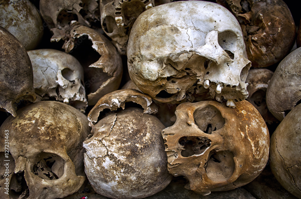 Skulls in Mass Grave