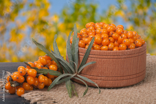 Sea-buckthorn berries in a wooden bowl on table with blurred garden background