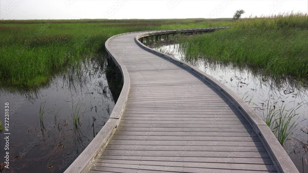 Boardwalk curves through  a marsh and wetlands at Sabine National Wildlife Refuge in Louisiana