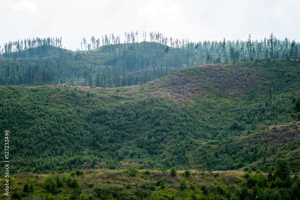 colorful countryside view in carpathians colorful countryside view in carpathians