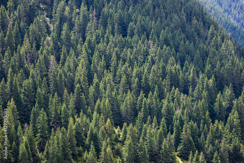 colorful countryside view in carpathians