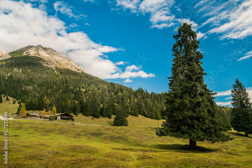 Blick über die Gaistalalm zum Predigtstuhl