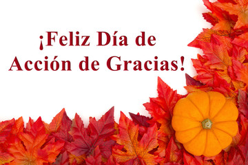 Happy Thanksgiving greeting in Spanish