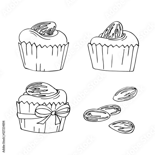 almond sweets cupcakes vector simple sketch
